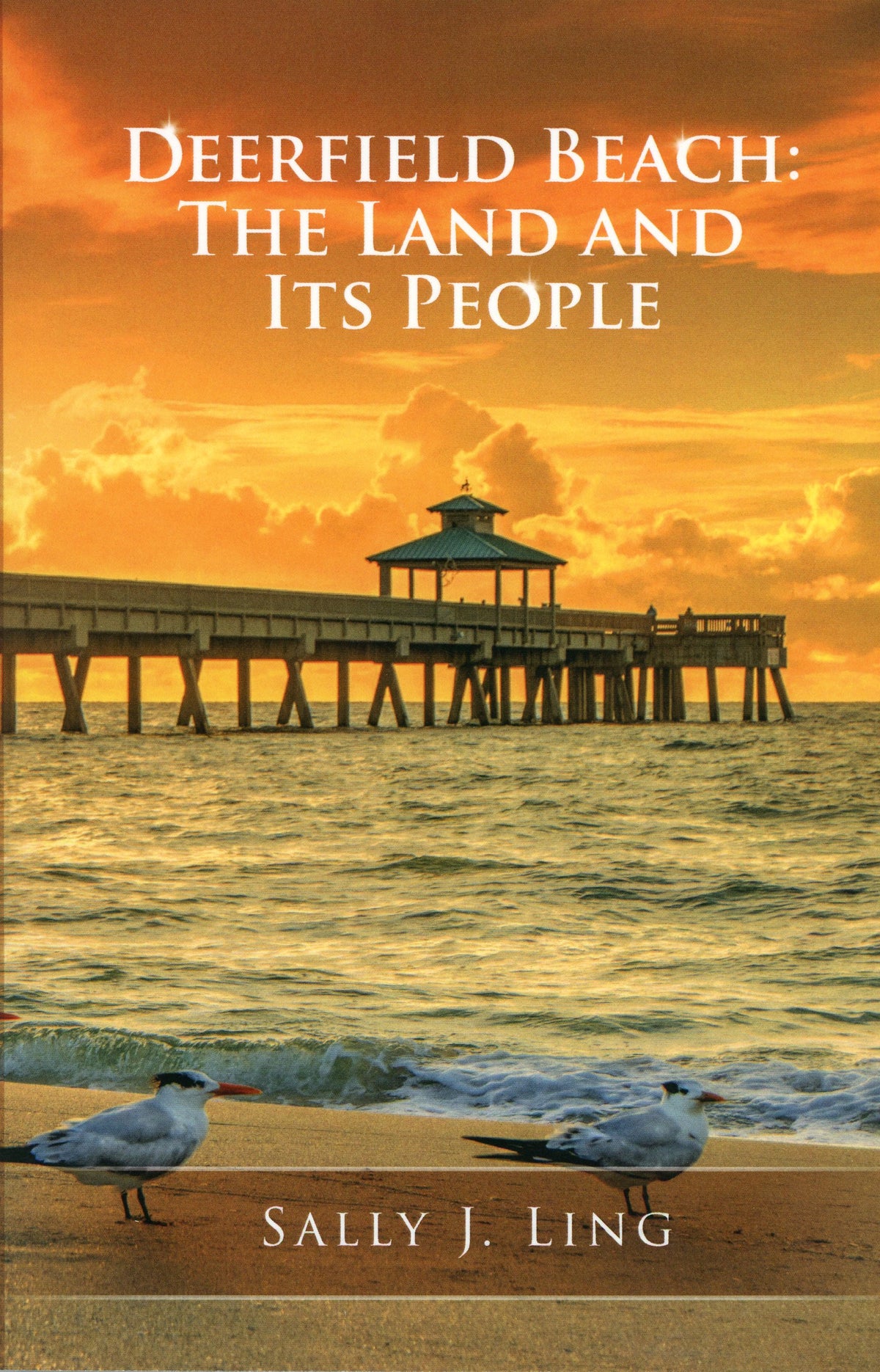 Deerfield Beach: The Land and Its People